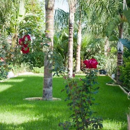 Willa You Will Love This Luxury 4 Bedroom Holiday In Protaras With Private Pool, Protaras 1227